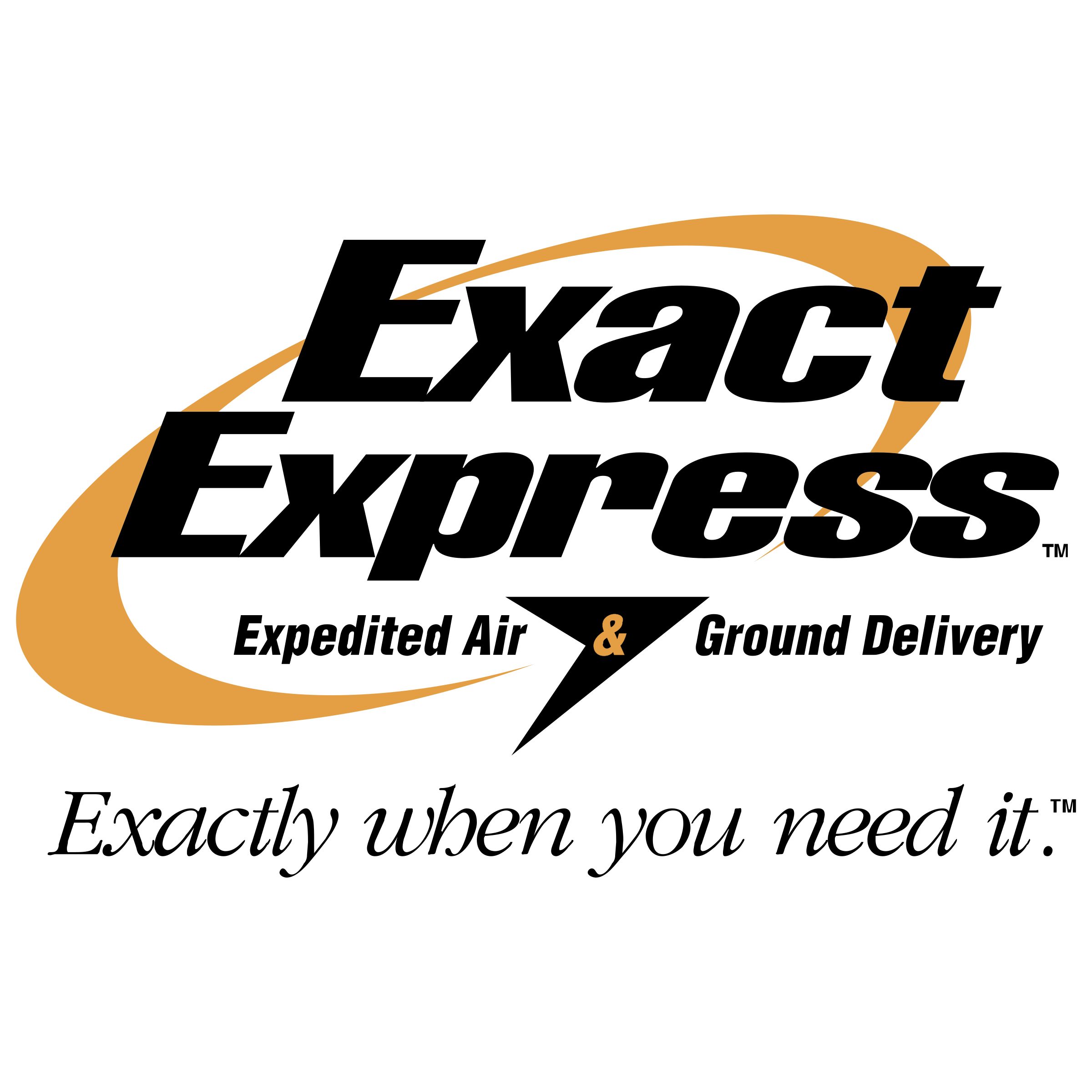 Exact Logo - Exact Express Logo PNG Transparent & SVG Vector