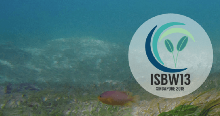 Dugong Logo - World Seagrass Conference and 13th International Seagrass Biology
