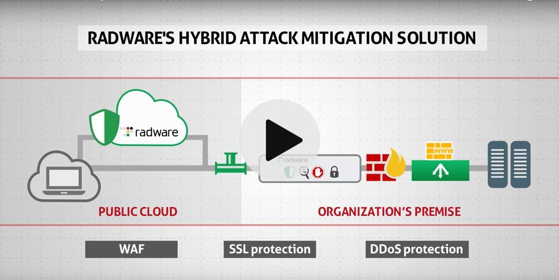 Radware Logo - Advanced DDoS Defense and Attack Mitigation