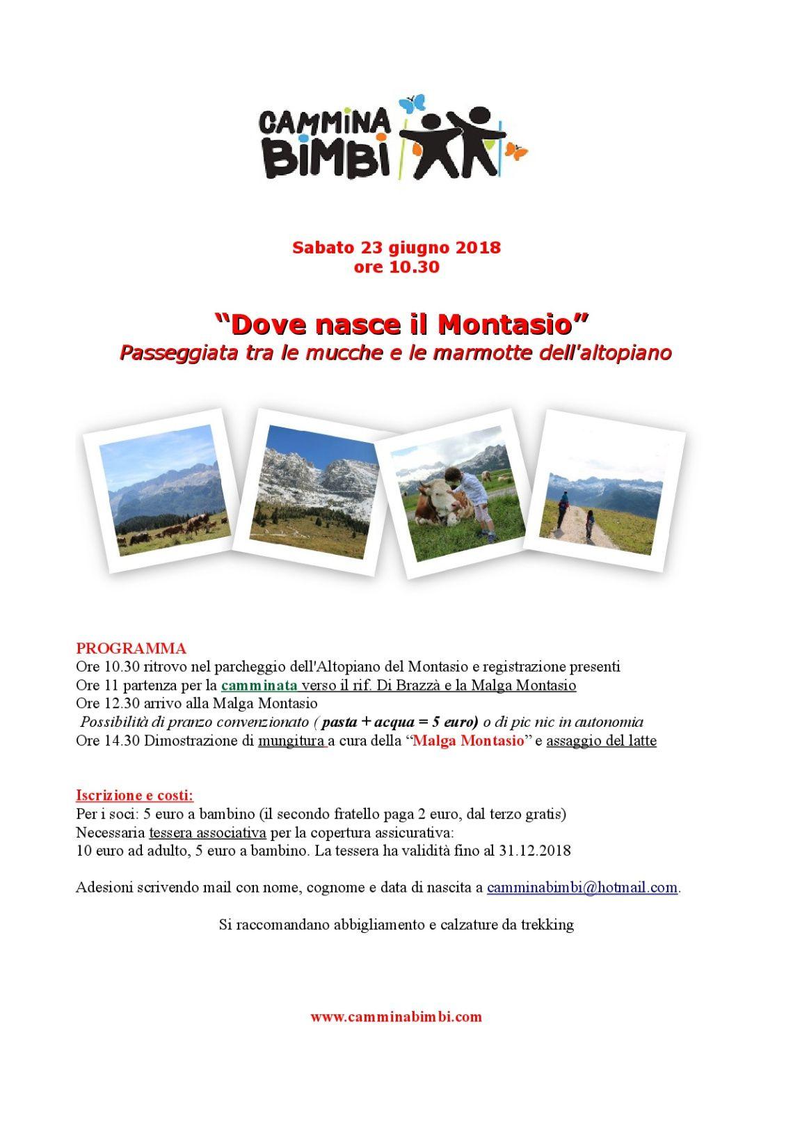 Montasio Logo - Dove nasce il Montasio – Camminabimbi