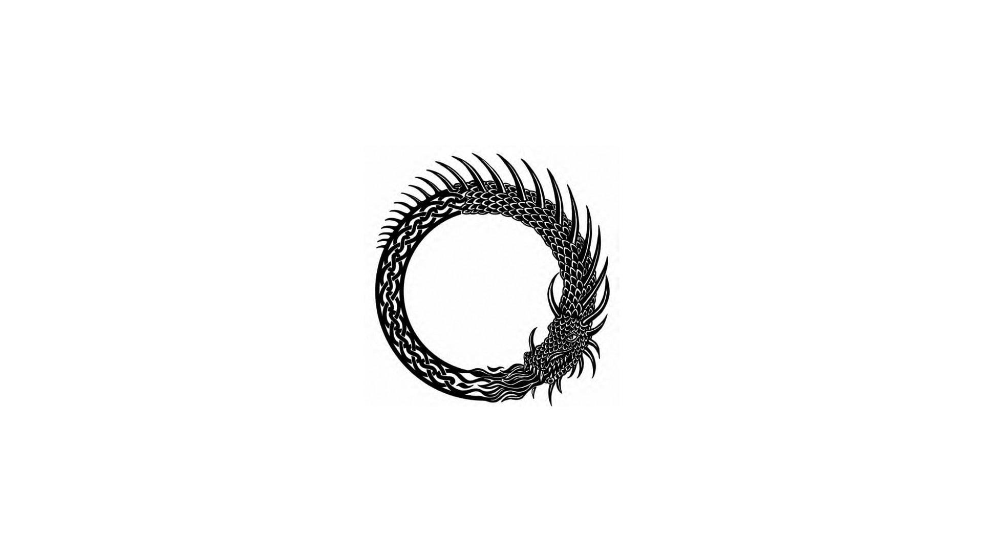 Wyrm Logo - Black wyrm logo, minimalism, ouroboros, simple background, dragon HD ...