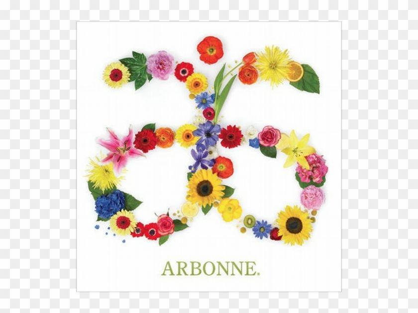 Arboone Logo - Arbonne Logo - Arbonne Marketing, HD Png Download - 557x768(#5929282 ...