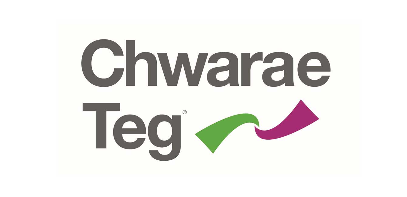 TEG Logo - DevOpsGroup scoops employer award from Chwarae Teg