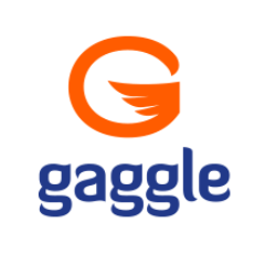 Gaggle Logo - Gaggle Competitors, Revenue and Employees - Owler Company Profile