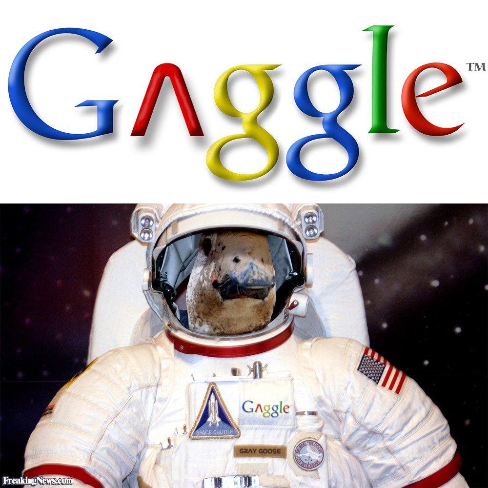 Gaggle Logo - Google + NASA Gaggle Logo Picture