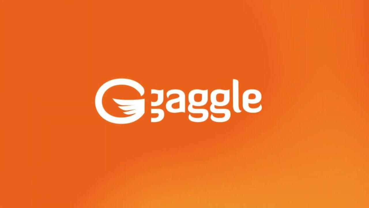 Gaggle Logo - Gaggle, a Google Premier Partner