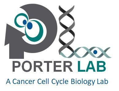 Porter Logo - Introducing the Porter Lab Logo | Porter Lab