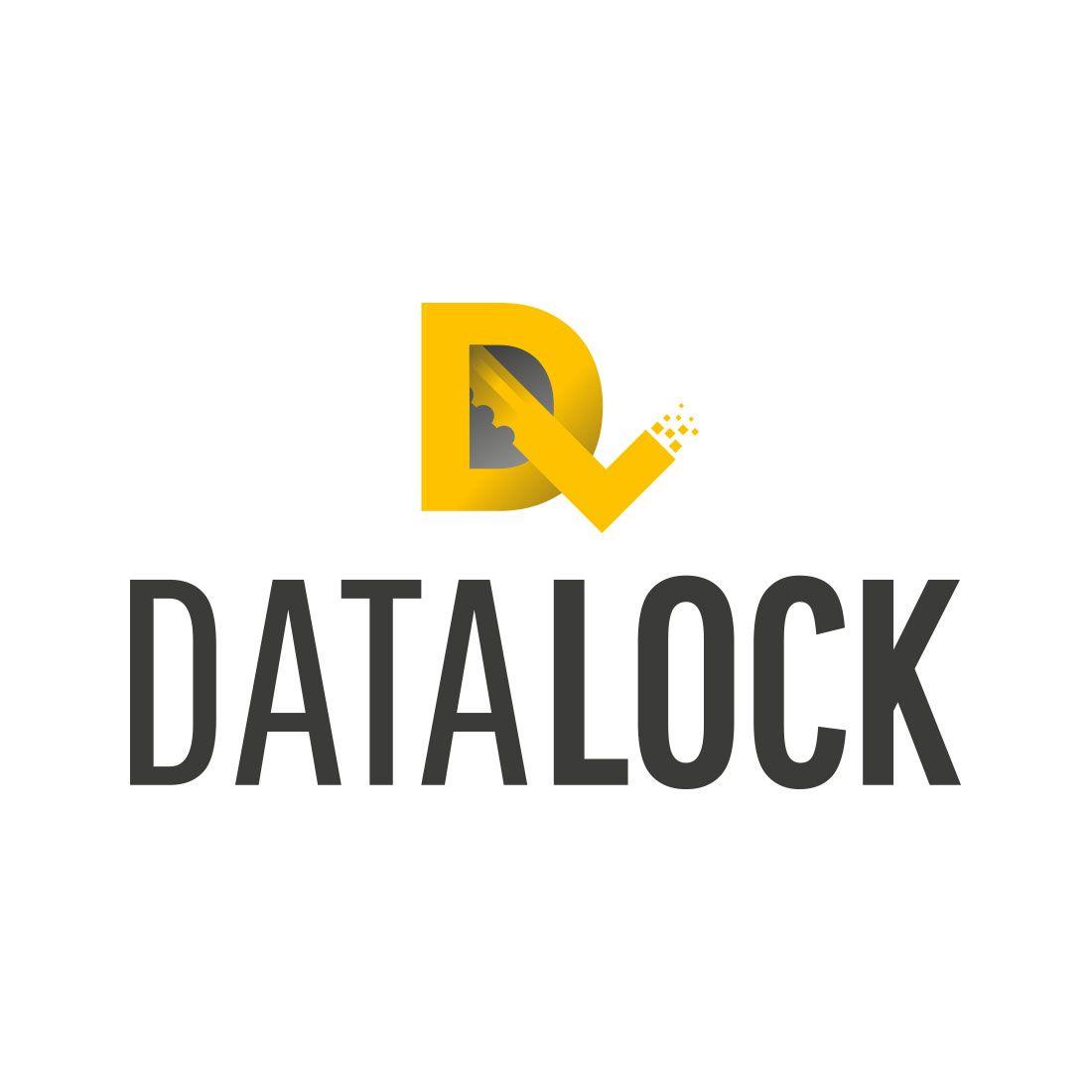 DataLock Logo - Datalock branding. Creative Design Agency