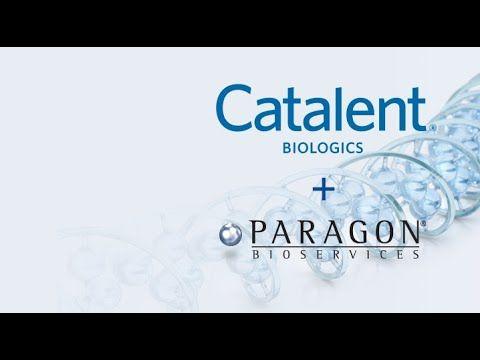 Catalent Logo - Catalent Pharma Reviews | Glassdoor.co.uk