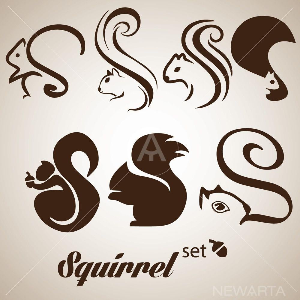 Squirrel Logo - squirrel set - newarta