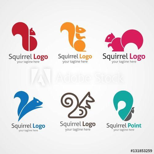 Squirrel Logo - Squirrel logo design template. Vector Illustration this stock