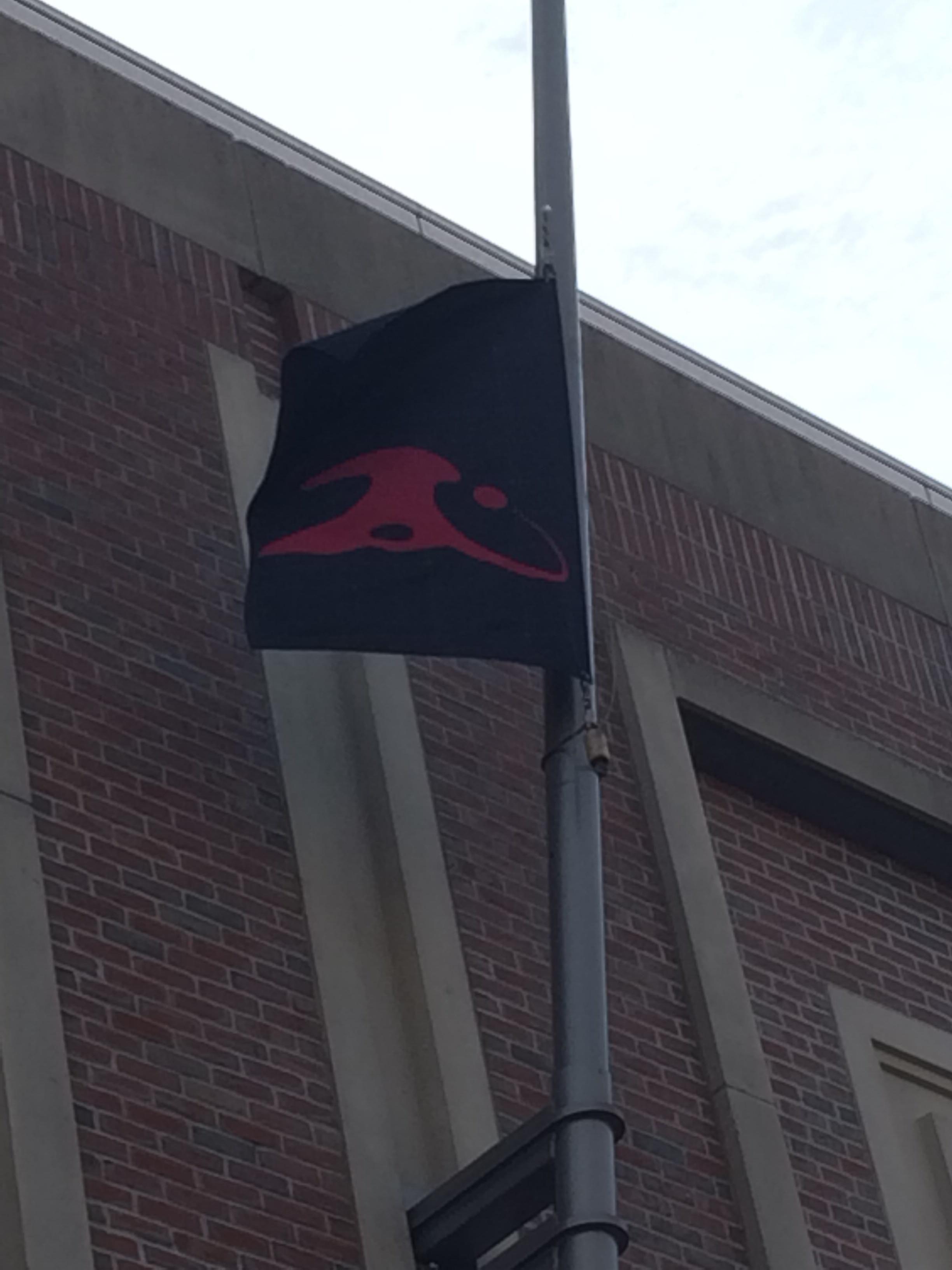 Mousesports Logo - The Mousesports logo is upside down on their flag outside the arena