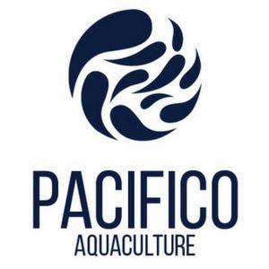 Pacifico Logo - Pacifico Aquaculture