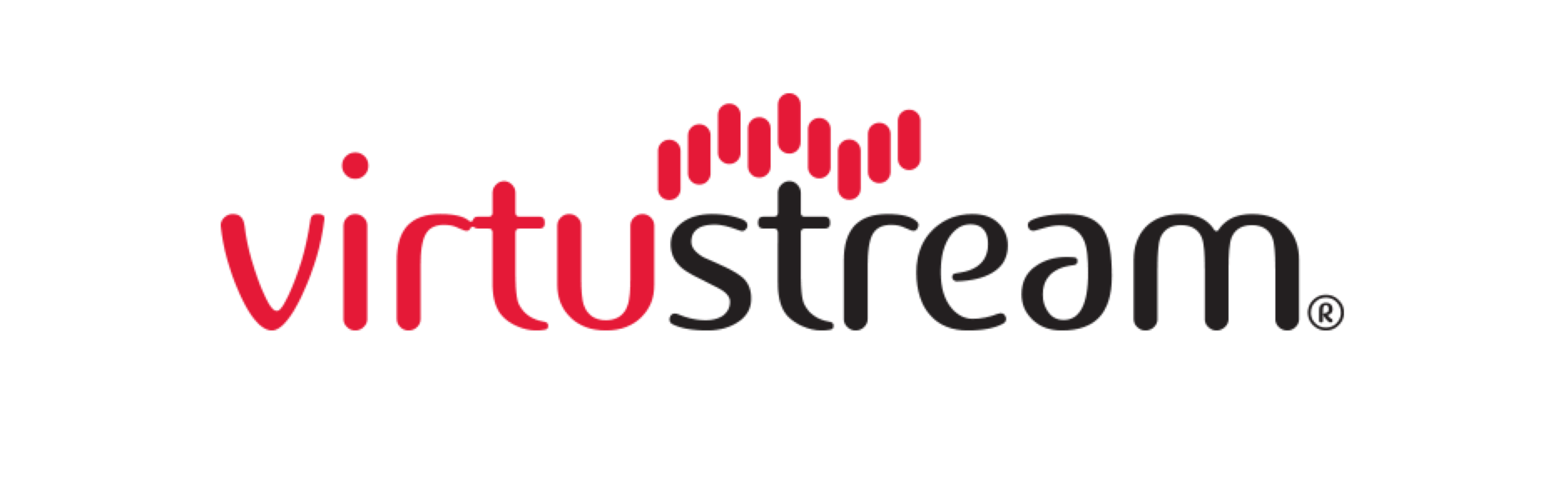 Virtustream Logo - PARTNERS