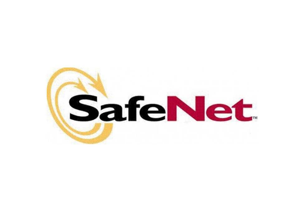 Virtustream Logo - Virtustream Partners with SafeNet to Enable Secure Virtualization ...