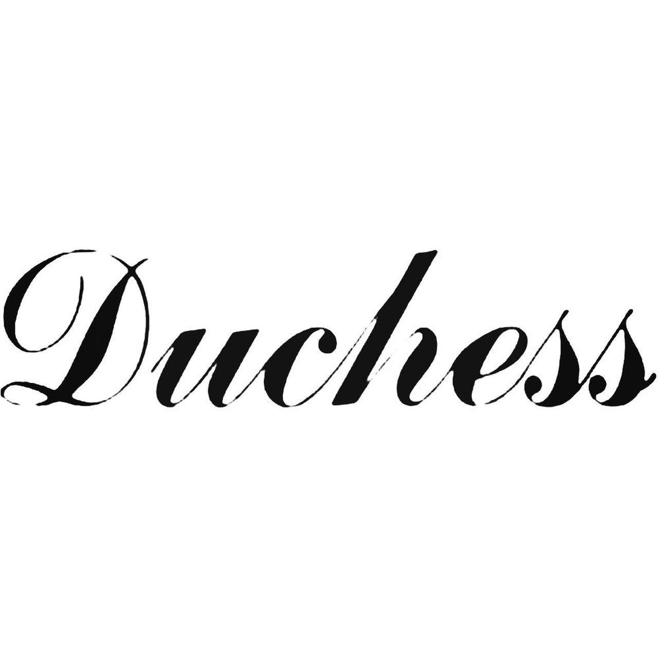 Duchess Logo - Beechcraft Duchess Aviation Decal Sticker
