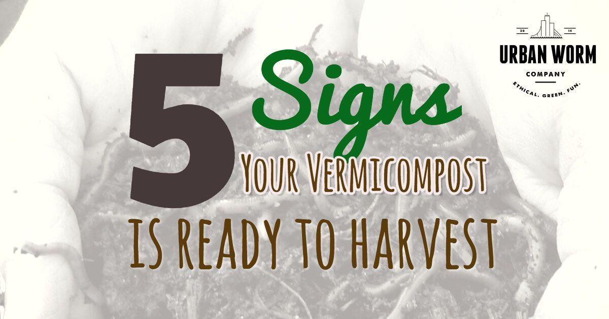 Vermicompost Logo - How Do I Know If My Vermicompost is Ready to Harvest?