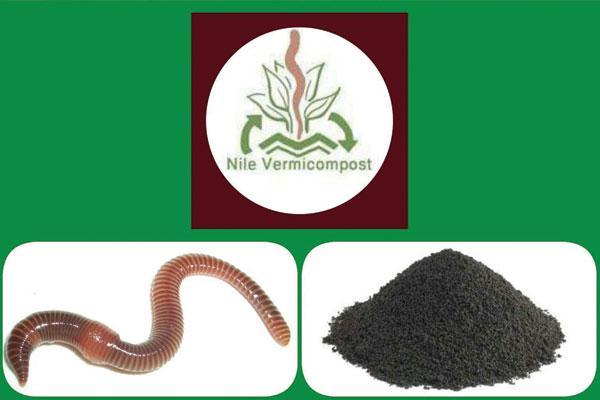 Vermicompost Logo - Nile Vermicompost - Vermiculture project in Egypt - Midwest Worms