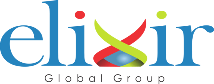 Elixir Logo - ELIXIR GLOBAL GROUP