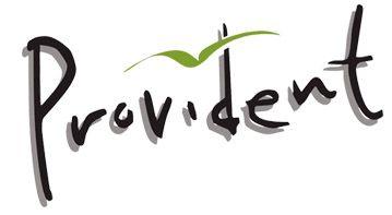 Provident Logo - Provident Development | Welcome to Provident Developments