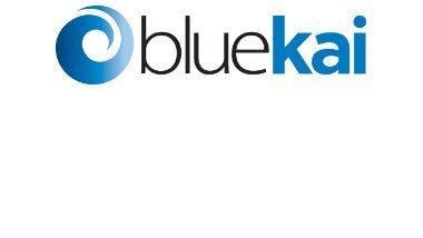 BlueKai Logo - Data Cloud Heritage