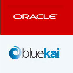 BlueKai Logo - Oracle buys big data platform BlueKai