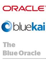 BlueKai Logo - Oracle To Buy BlueKai For Estimated $350M to $400M, Deal Presents