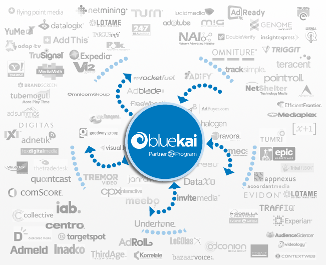 BlueKai Logo - BlueKai
