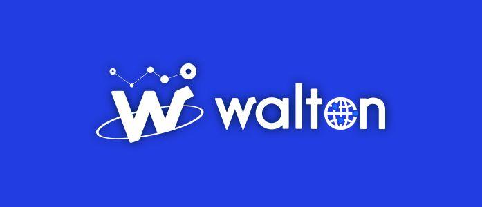 Walton Logo - What is Waltonchain for Dummies
