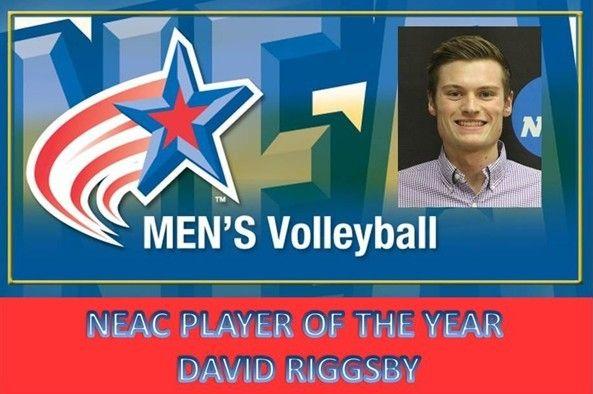 Neac Logo - Riggsby Named NEAC Player of the Year - Medaille College Athletics