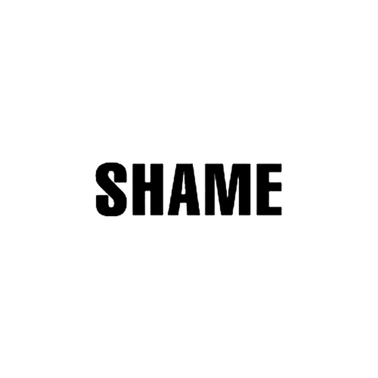 Shame Logo - Shame Rock Band Logo Decal