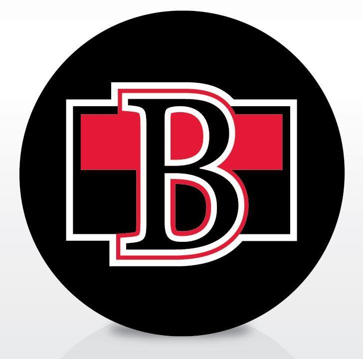 Belleville Logo - Belleville Senators Team Logo Souvenir Puck