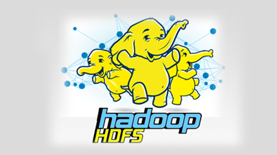 HDFS Logo - Hadoop Distributed File System (HDFS)
