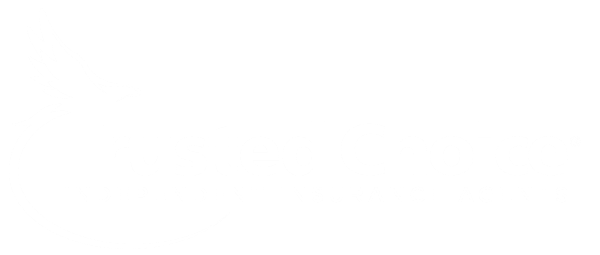 Choice Logo - Logos