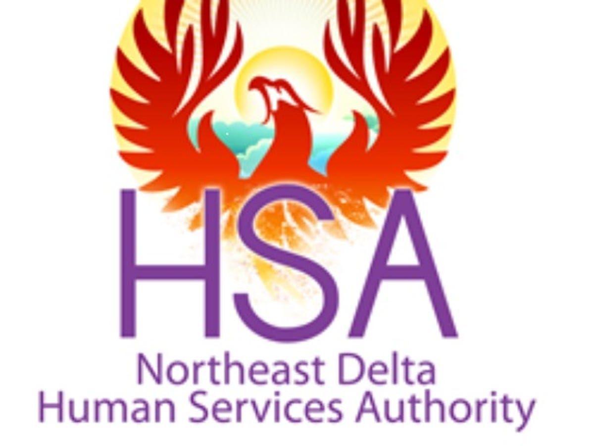 HSA Logo - MIT recognizes Northeast Delta HSA for health care delivery
