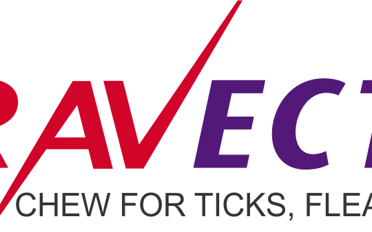 Bravecto Logo - Index of /wp-content/uploads/2018/11