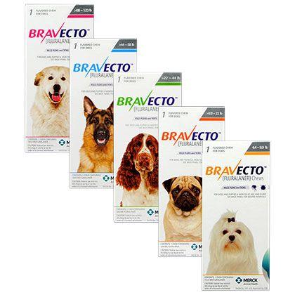 Bravecto Logo - Bravecto Chews for Dogs | Free Shipping - 1800PetMeds