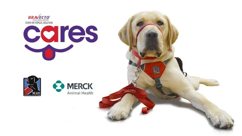 Bravecto Logo - BRAVECTO Merck Animal Health. NEADS World Class