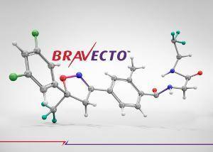 Bravecto Logo - Parasites & Vectors | Bravecto TM - translations