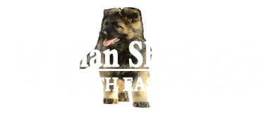 Germen Logo - German Shepherds – Of North East Victoria