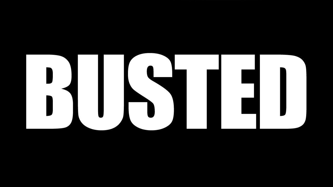 Busted Logo - BUSTED - The Fabulous Downey Brothers
