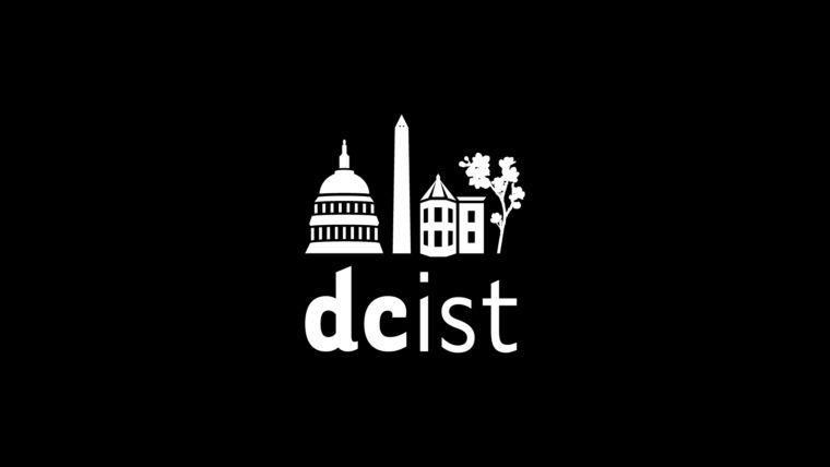 Kojo Logo - The Relaunch Of DCist-And What It Means For The Local Media ...