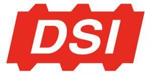 DSi Logo - Kuivalainen Appointed New CEO for DSI Construction