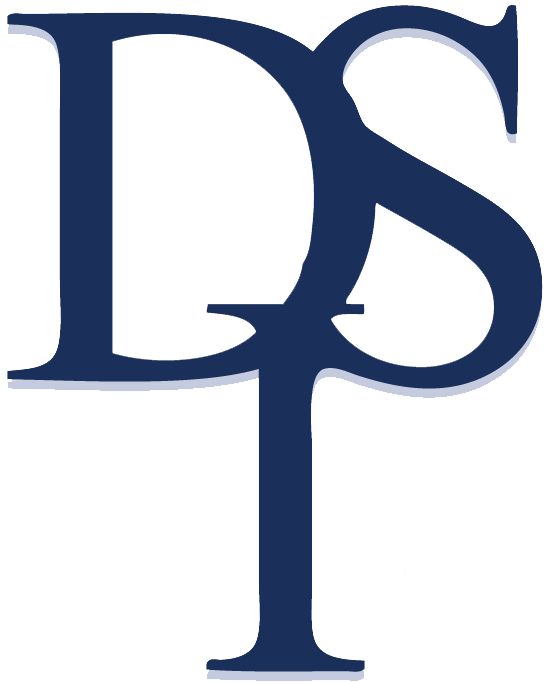 DSi Logo - DSI-Logo (no Inc) 6.12.17 - A Kid Again