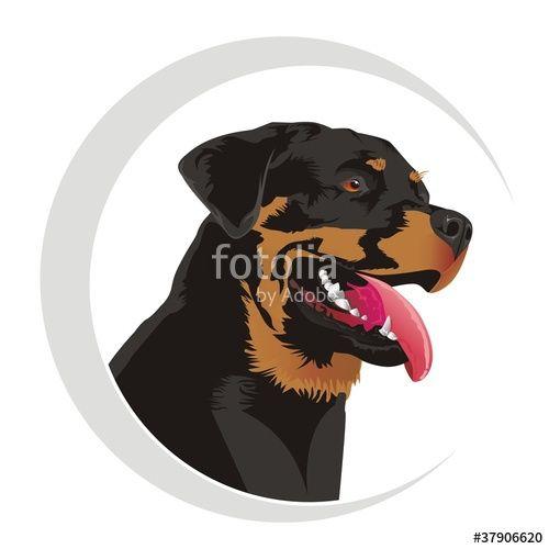 Rottweiler Logo - Rottweiler Logo Stock Image And Royalty Free Vector Files
