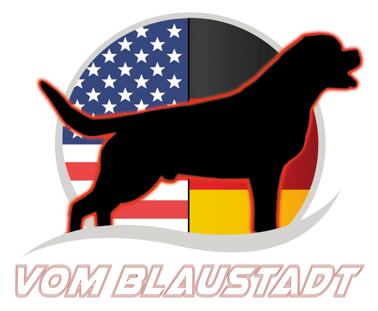 Rottweiler Logo - Home | Vom Blaustadt Rottweilers