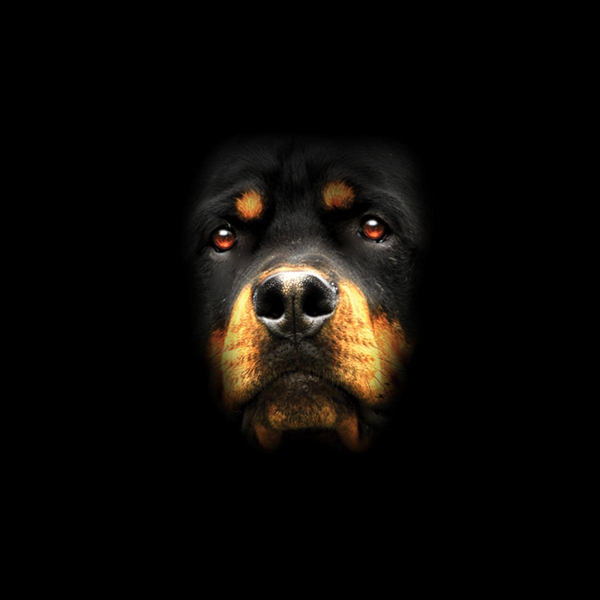 Rottweiler Logo - Details About Rottweiler Face Dog Animals Men T Shirt XS 5XL New
