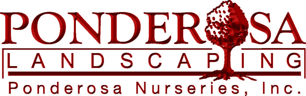 Ponderosa Logo - ponderosa logo 506