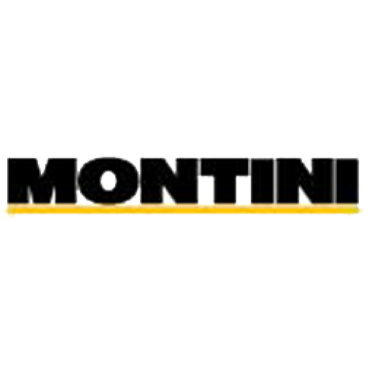 Montini Logo - MONTINI BINGO ZINC 48V 4-Wheels