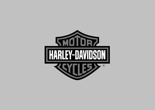 Sportster Logo - Harley Davidson Sportster XL1200C. Used Motorcycle. Eden Prairie, Minnesota